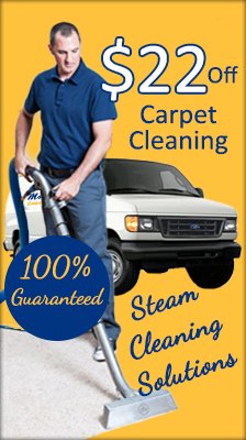 Carpet Steam Cleaners