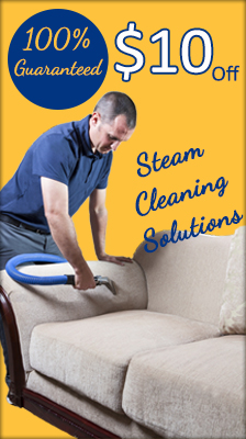 Upholstery Steam Cleaning